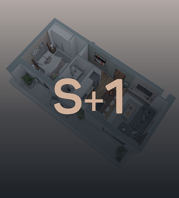 Appartements S+1